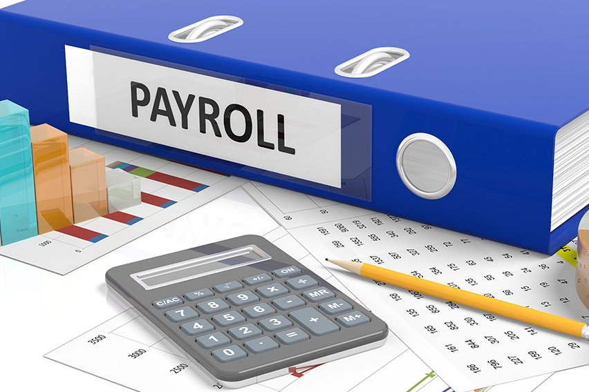 Say Goodbye to Monthly Payroll Stress: Introducing TroinverseHR for Zimbabwean Businesses